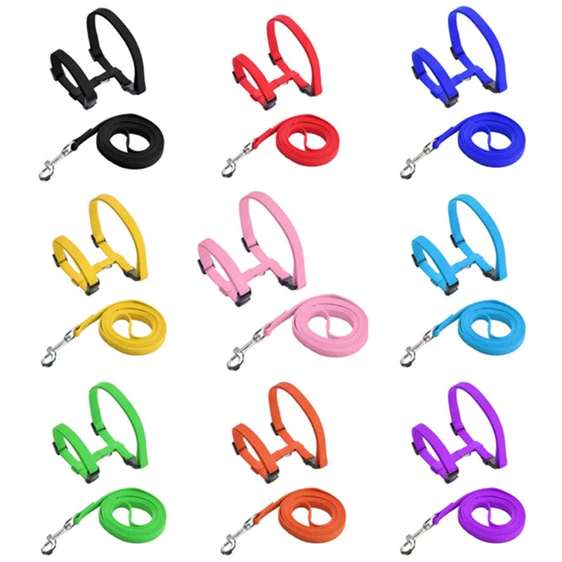 Dog Cat Collar Harness Leash Adjustable Nylon Pet Traction Cat Kitten Halter Collar Puppy Dog Cat Product Small Pet Harness Belt