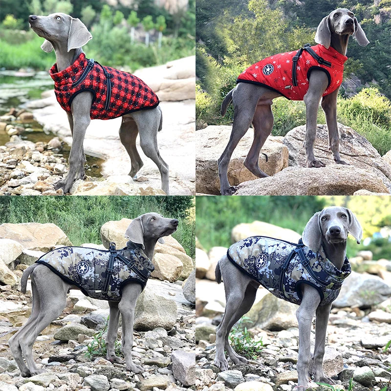 Large Pet Dog Jacket With Harness Winter Warm Dog Clothes For Labrador Waterproof Big Dog Coat  French Bulldog Outfits